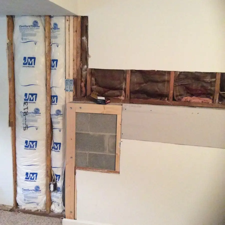 Wall insulation replacement during Odor Removal & Deodorization in Lodi
